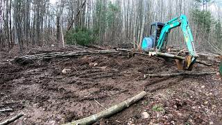 Barn Work Day 4 - Clean up and Stumps