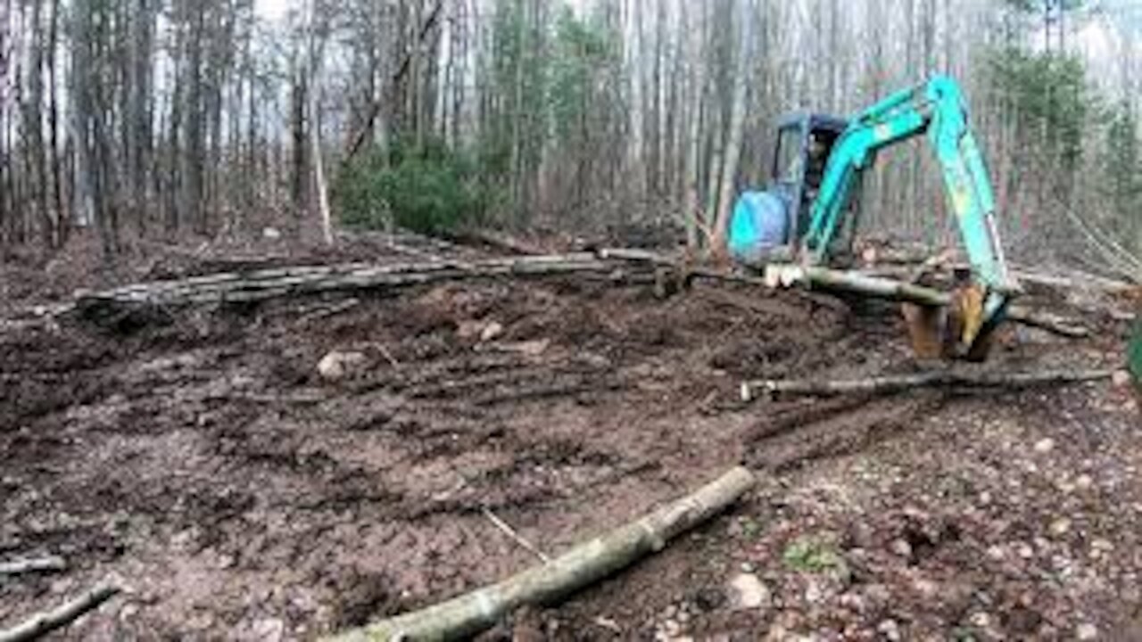 Barn Work Day 4 - Clean up and Stumps