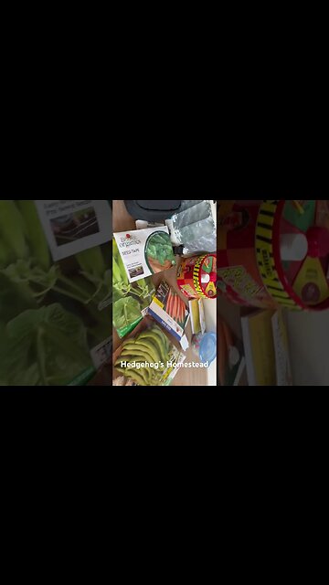 For my fall panting #hedgehogshomestead #gardening