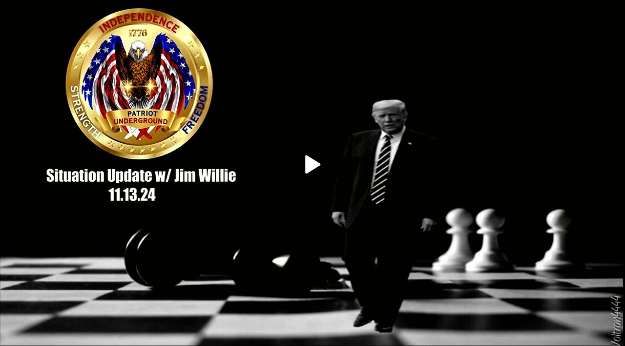 Patriot Underground - Situation Update w/ Jim Willie (11.13.24 @ 7PM EST)