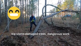 Clearing the entryway Lumberjack style #4K #debtfreejourney #minimalism #hedgehogshomestead