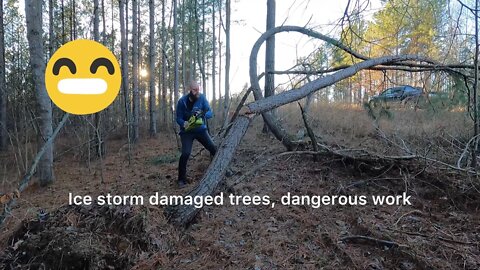 Clearing the entryway Lumberjack style #4K #debtfreejourney #minimalism #hedgehogshomestead