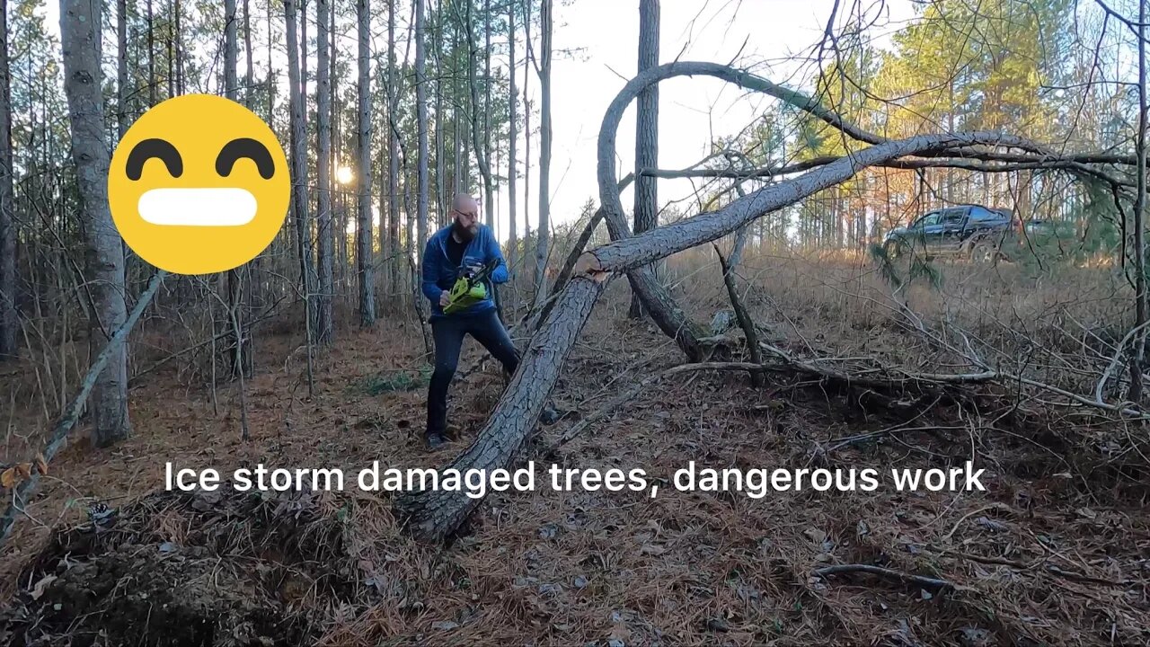 Clearing the entryway Lumberjack style #4K #debtfreejourney #minimalism #hedgehogshomestead