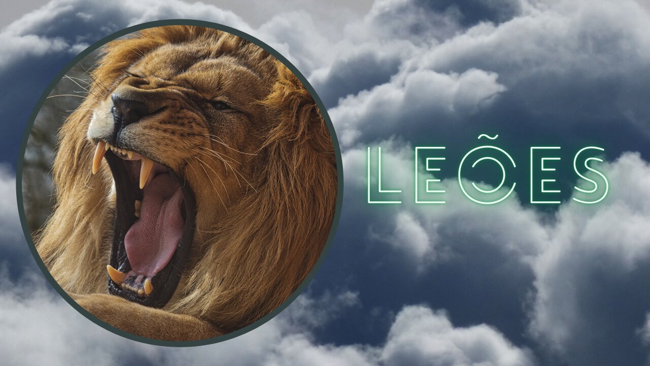 LION THE KING OF THE JUNGLE