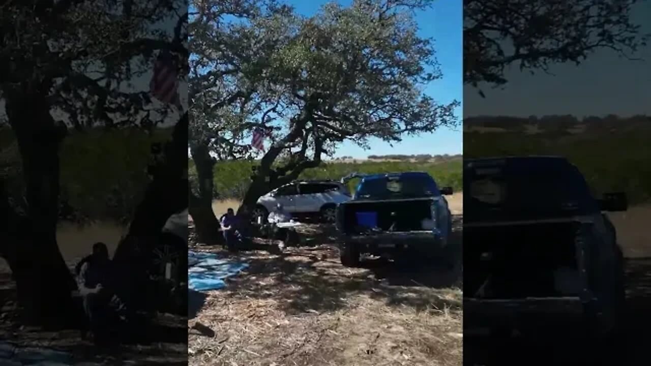 Friends With Drones Under a Shade Tree #Avata