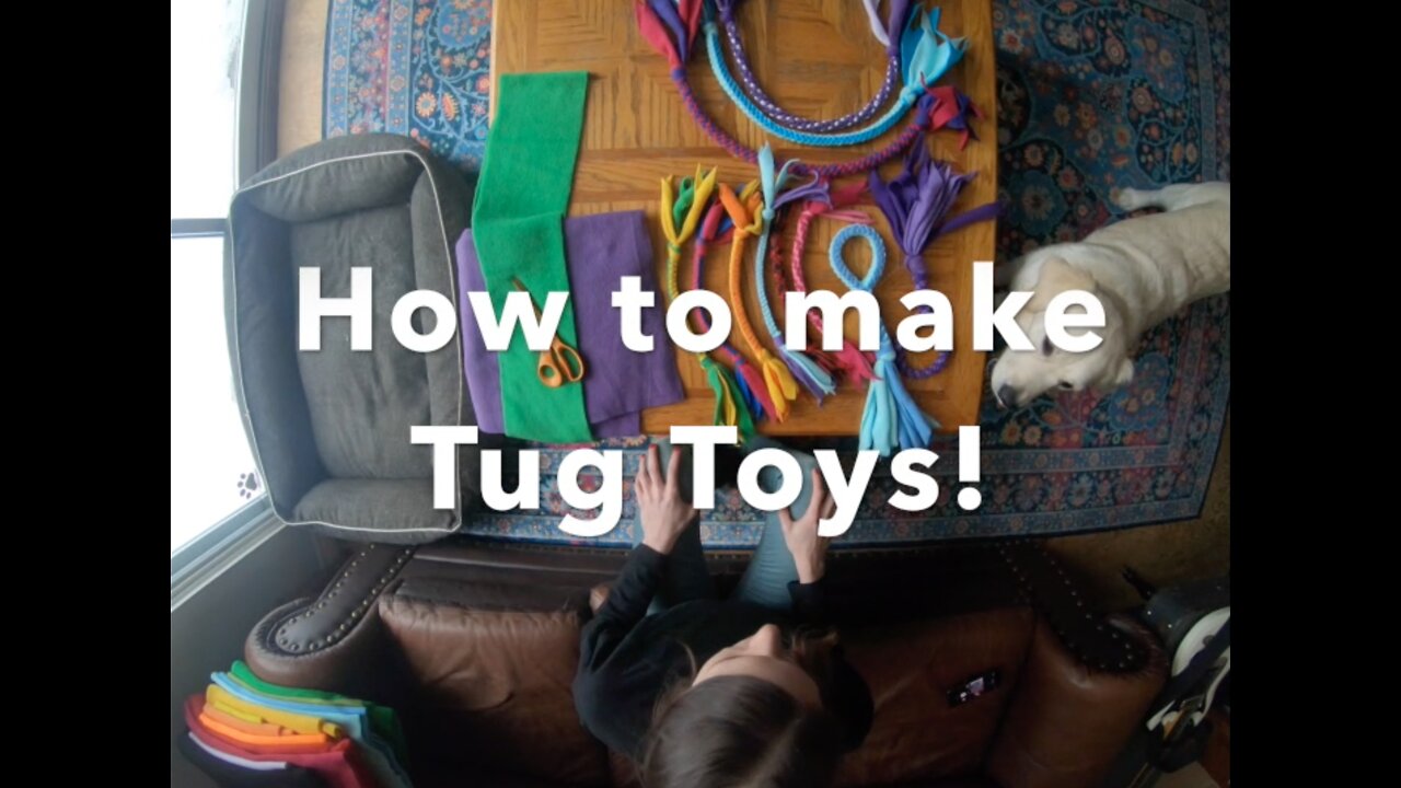 How to make a fleece tug toy for your dog!