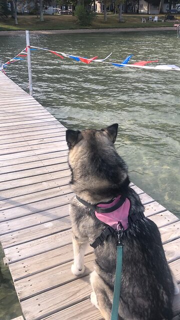 Saturday Oct 12, They caused the grain to grow