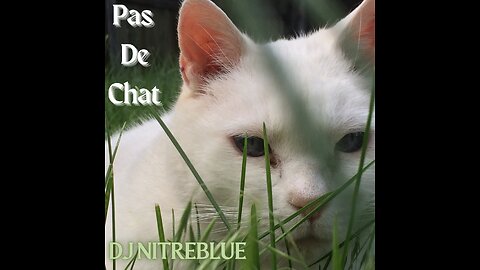 DJ NitreBlue - Pas De Chat Music Video