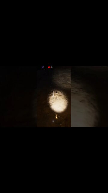 I wish for Sunshine ~ Phasmophobia #gaming