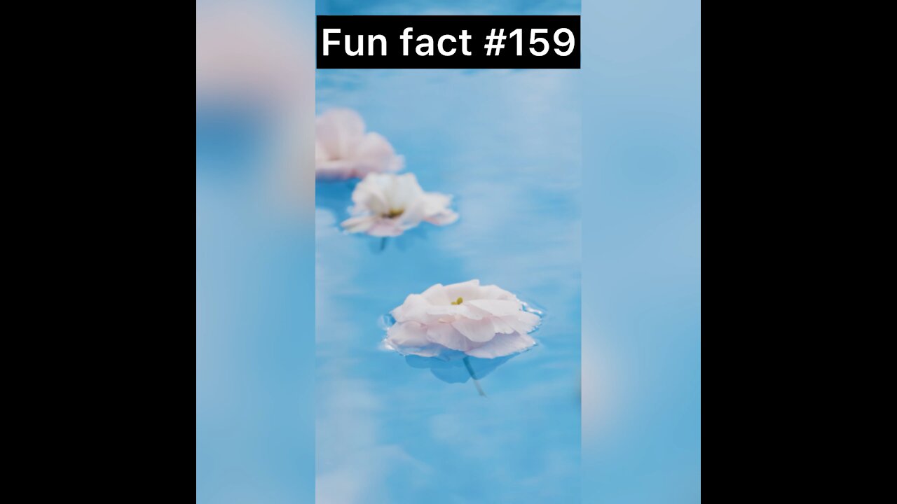 New Year’s tradition in Brazil?