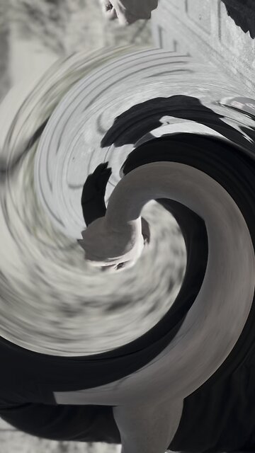 Bearded Monkey Tactical