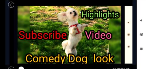 Dog 🐕Training video ll Comedy training dog 🐕 video ll pet animal training