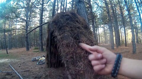 Building a lean to with The TexasBoys Part 2