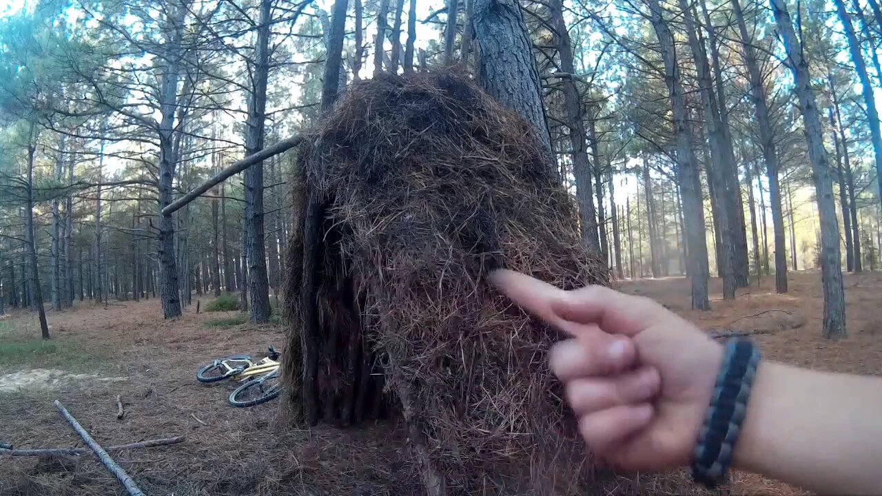 Building a lean to with The TexasBoys Part 2