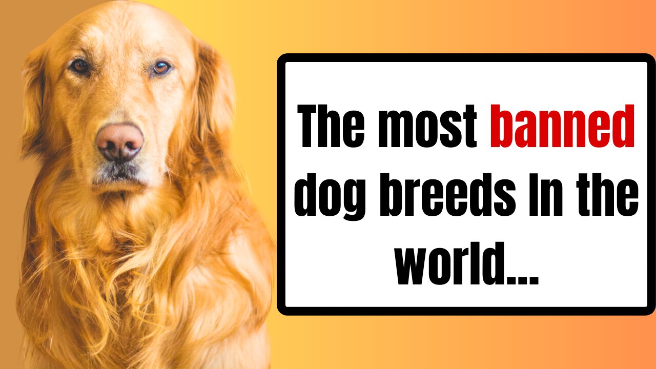 The most banned dogs in the world