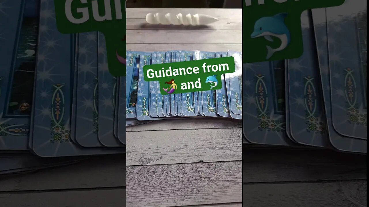 Guidance from the Mermaids 🧜♀️ and Dolphins 🐬 #shorts #tarotreading