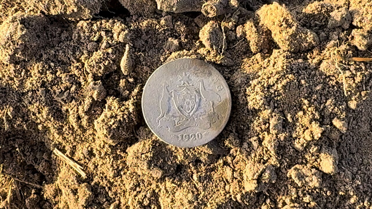 Big Old Amazing Sterling Silver Coat Of Arms Metal Detecting