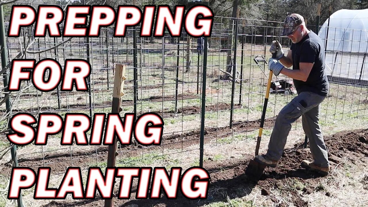 How I'm controlling weeds around my tomatoes trellises