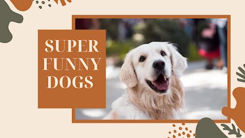 SUPER FUNNY DOGS COMPILATION 🤣😭