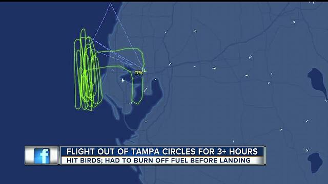 United Flight strikes birds departing TIA, spends more than 3 hours burning off fuel