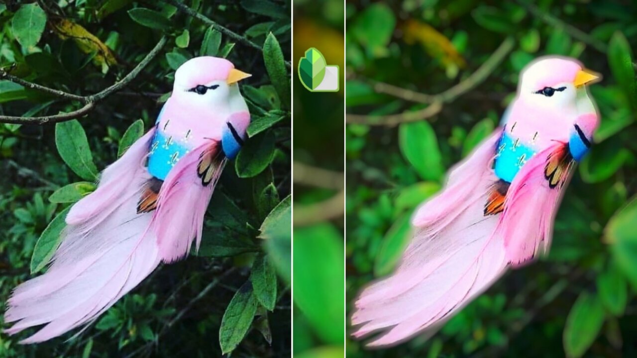 How To Blur Photo Beckground Like Dslr || New Photo Editing Video ||