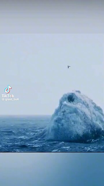 The Leviathan is going to attack USA