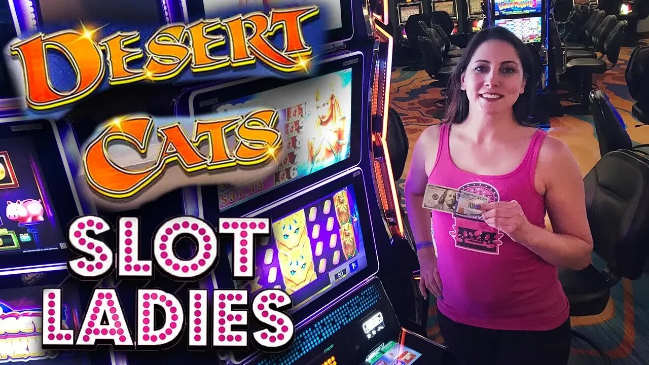 đŸ™€LAST MINUTE WIN! đŸ™€Melissa Takes on Desert Cats! | Slot Ladies