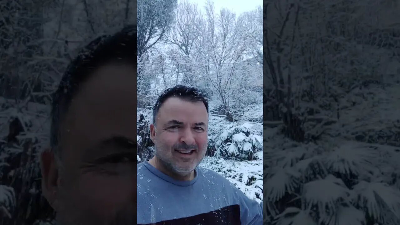Dammit I Hate Snow!