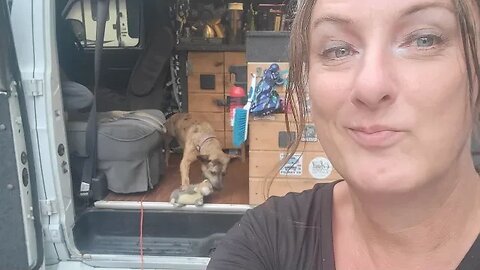 Tasha Teeling is going live!