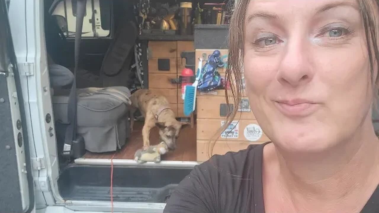 Tasha Teeling is going live!