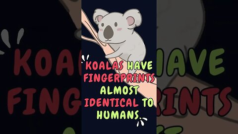 🐨👍🏻Discover Fascinating Nature Facts👀 #shorts #shortsfact #naturefacts #koala #fingerprint #human