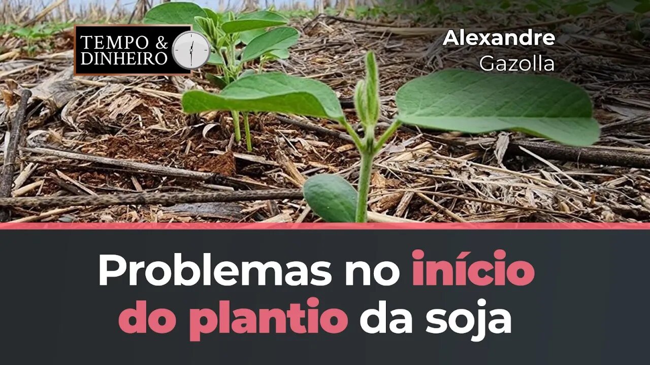 Problemas no início do plantio da soja