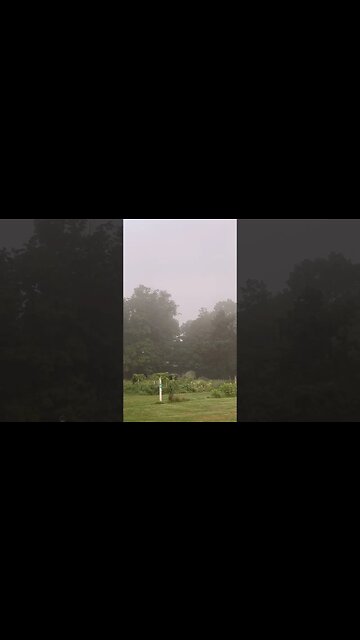 Old wives’ tale about fog…