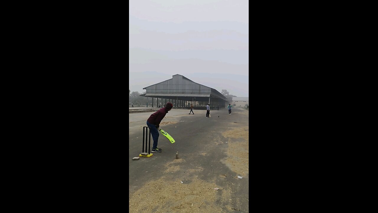 Yorker ball sidha जड़ mei #cricketreels