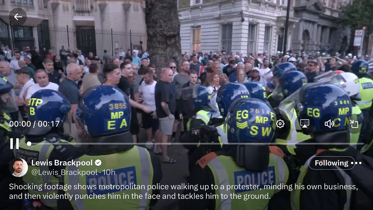 UK peaceful protesters and police