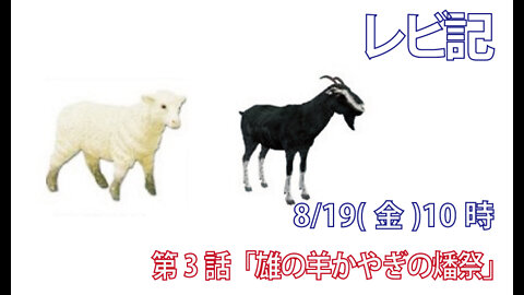 ｢雄の羊かやぎの燔祭｣(レビ1.10-13)みことば福音教会2022.8.19(金)