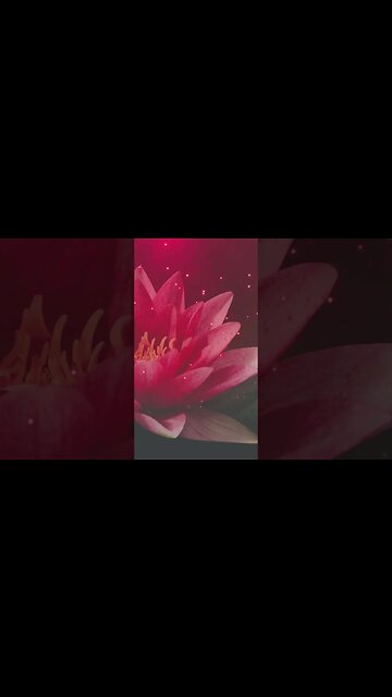 1 Minute Meditation I'M GRATEFUL FOR WAKING UP HEALTHY #shorts #youtubeshorts #1minutemeditation