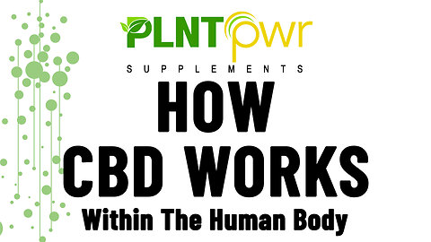 HOW CBD WORKS WITHIN THE HUMAN BODY - Plant Power Supplements