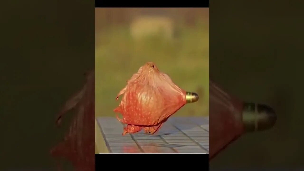 Amazing Shorts and trending video