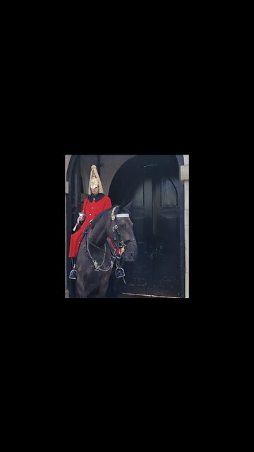 Horse bites him on the back #horseguardsparade