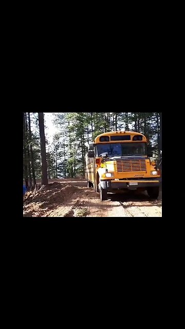 Parking Our Skoolie On Our Off Grid Property 2 year Anniversary! #shorts