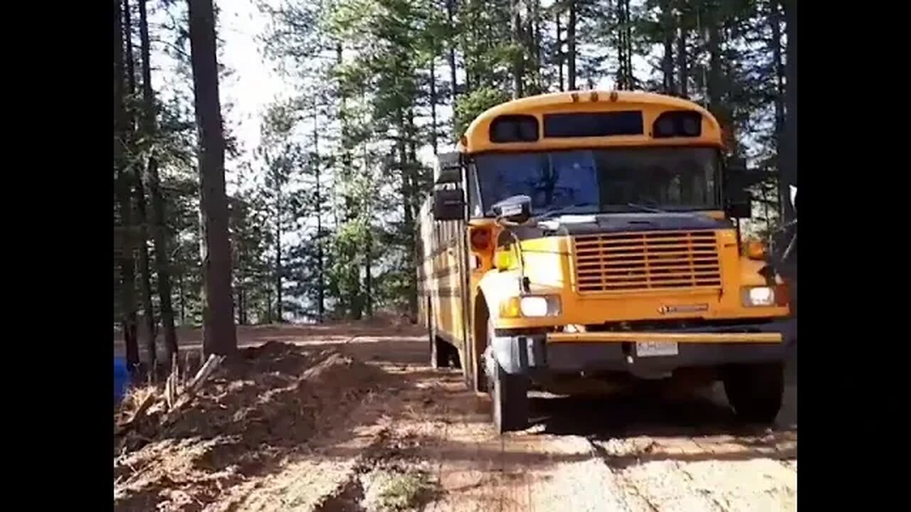 Parking Our Skoolie On Our Off Grid Property 2 year Anniversary! #shorts