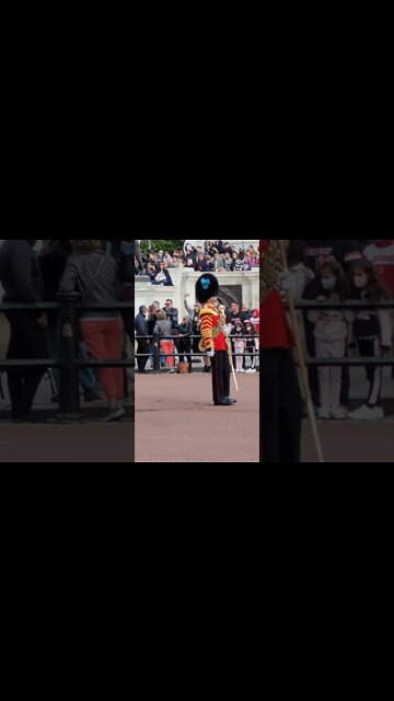 Band plays slow step March #buckinghampalace