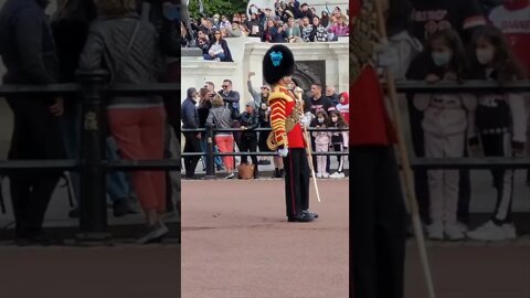 Band plays slow step March #buckinghampalace