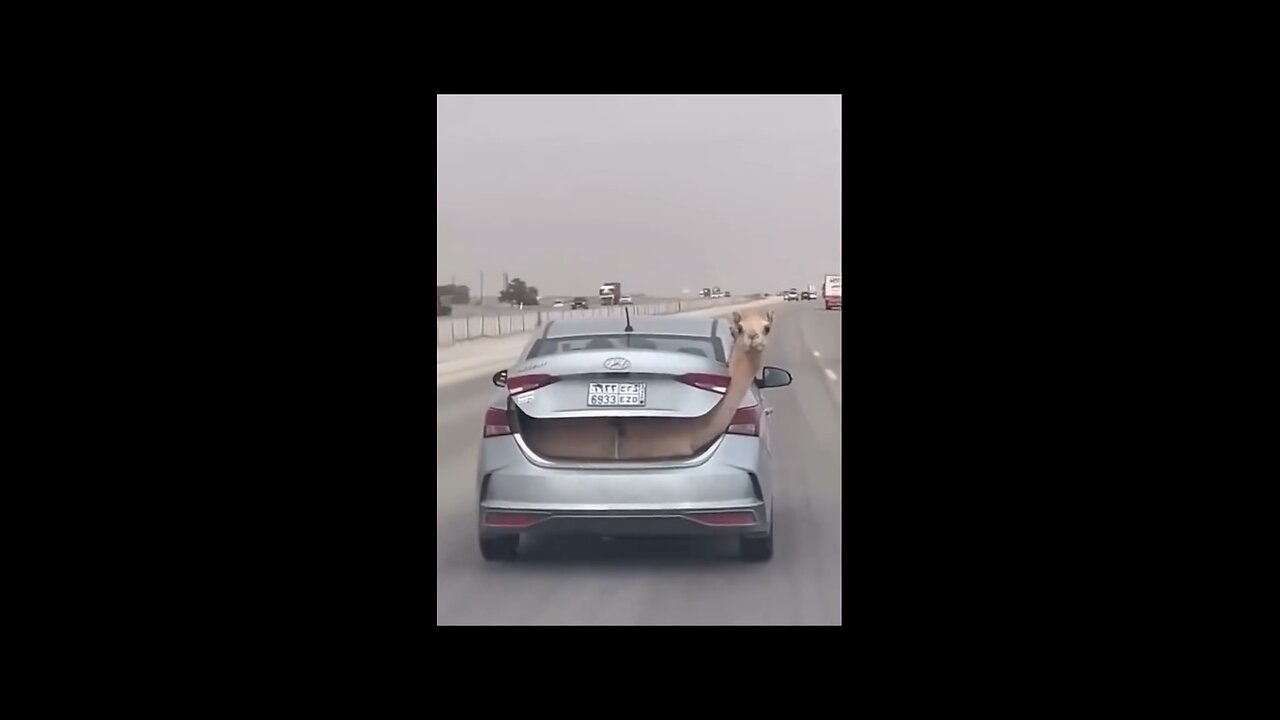 Let’s go for long drive