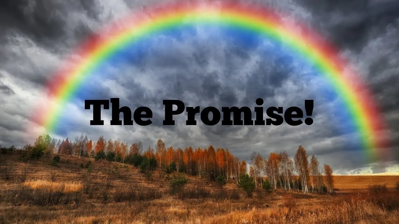 The Promise!