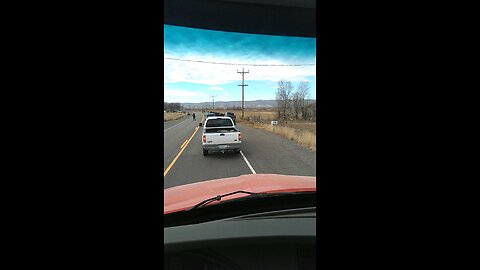 Eastern Oregon traffic jam