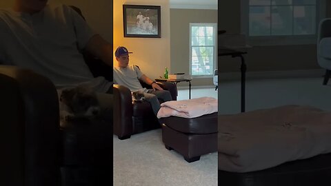 My Dog Got Jealous of Another Dog #shorts