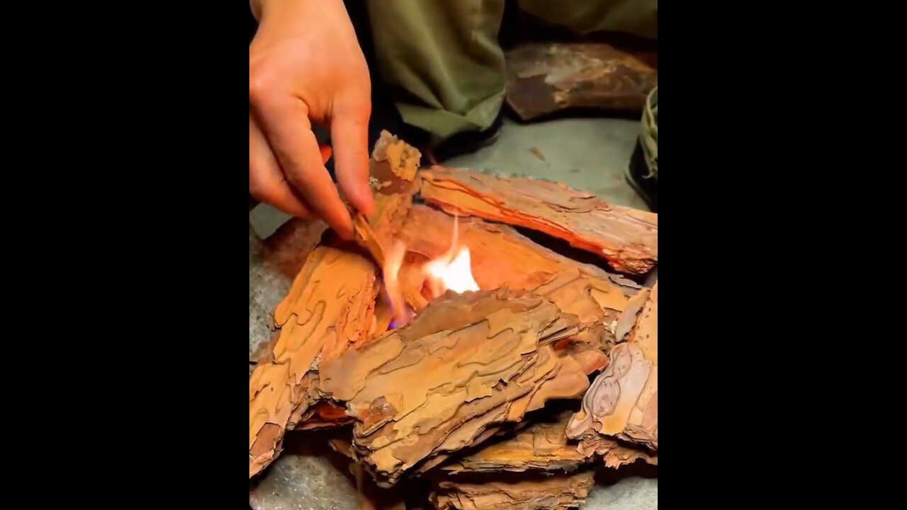 Creating natural ink from tree bark 🌳✨