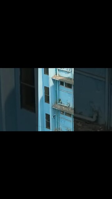 Do Cats Really Have 9 Lives ??? #catsvideo #catsvs #catsvlog #catsvoice